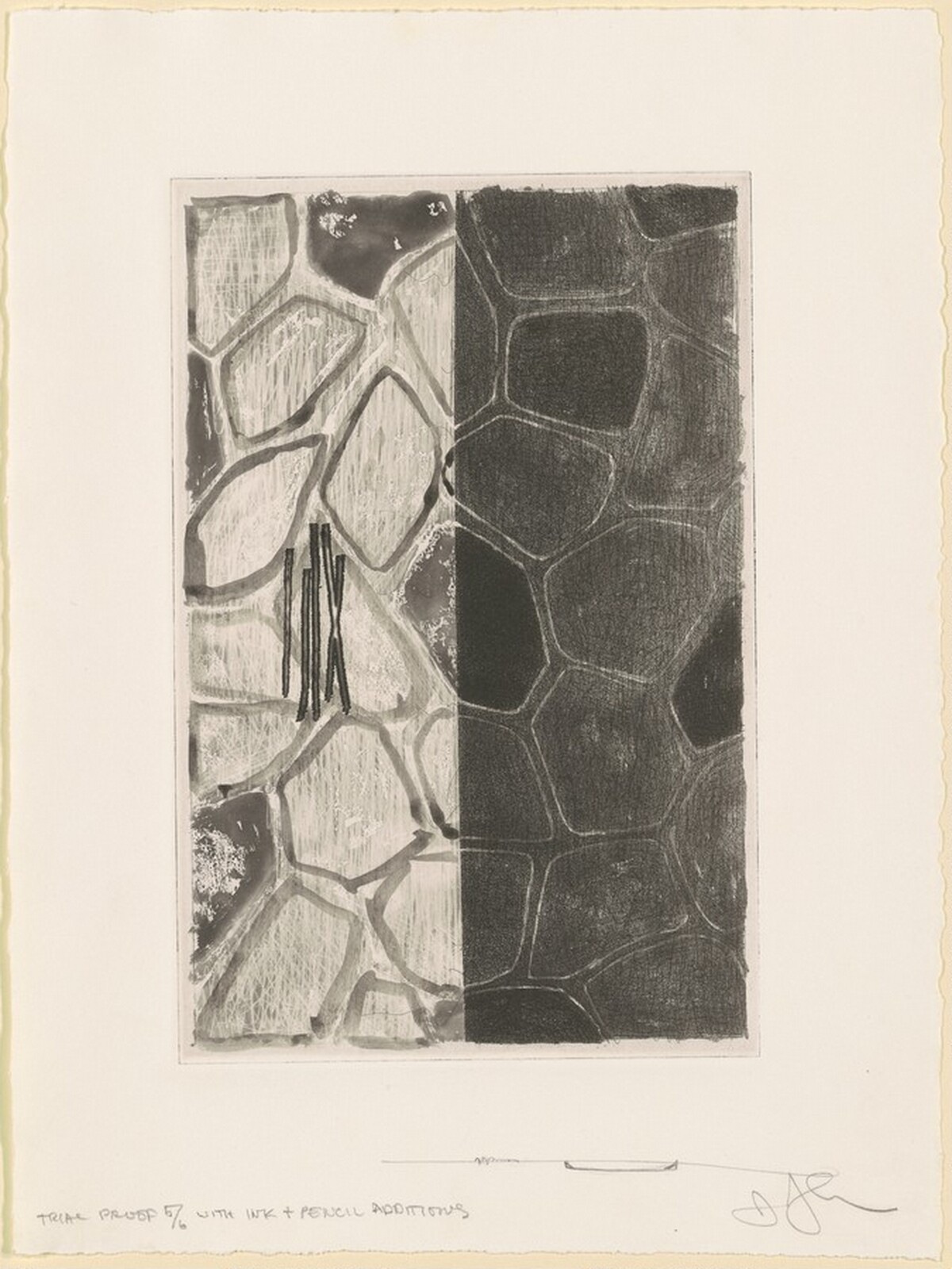 Flagstones (b) [trial proof 5] by Jasper Johns