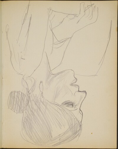 weibliche Bildnisstudie (Woman in Profile) [p. 19]