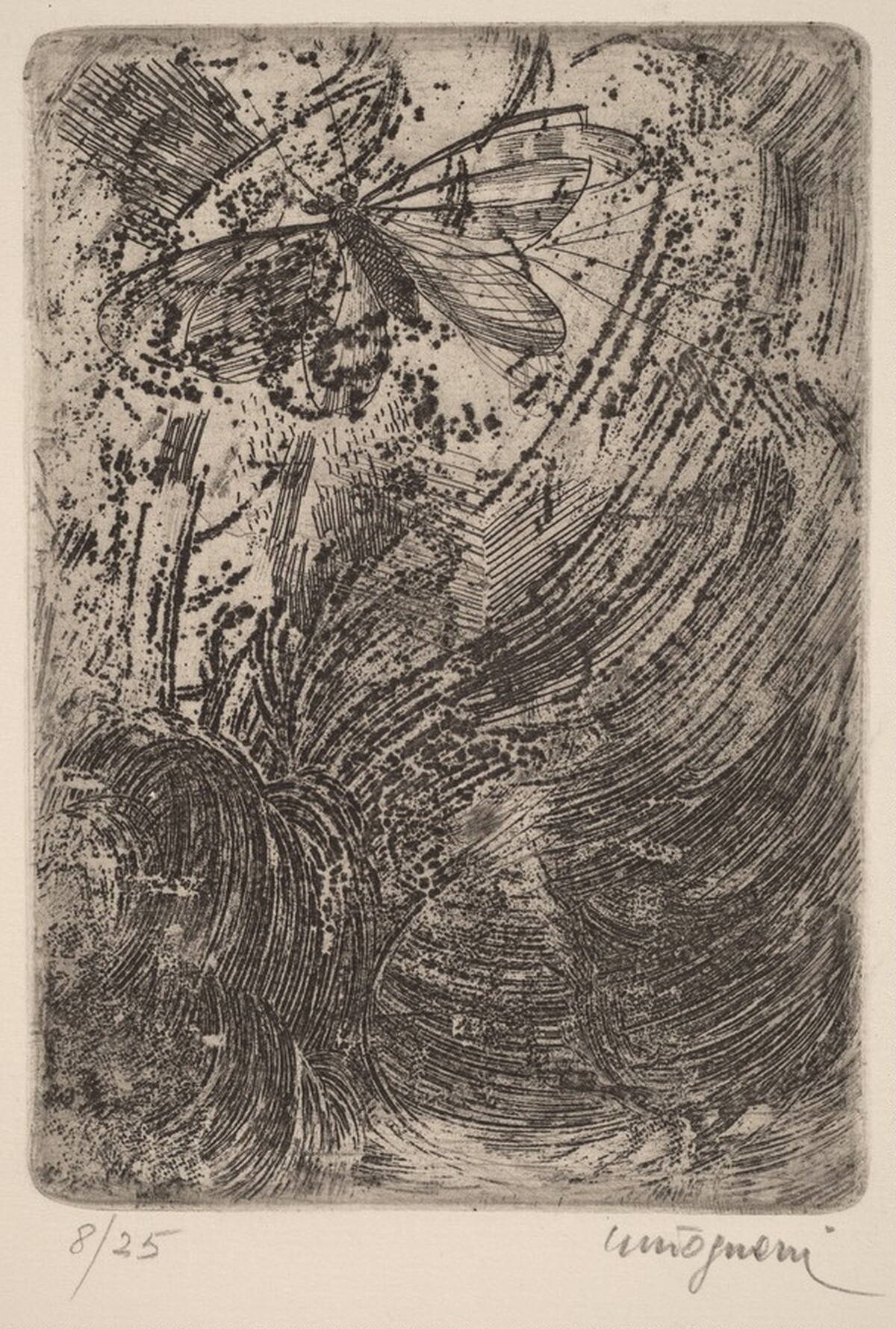 Farfalla (Butterfly) by Giancarlo Tognoni