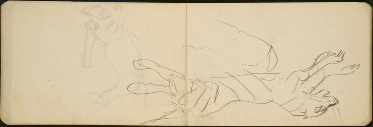 Springender Tiger (Tiger Leaping) [p. 24-25] by Max Beckmann