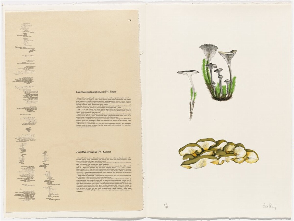 Untitled by Lois Long