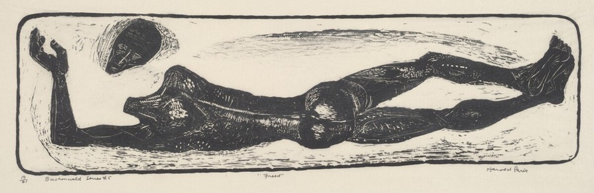 Freed by Harold Persico Paris