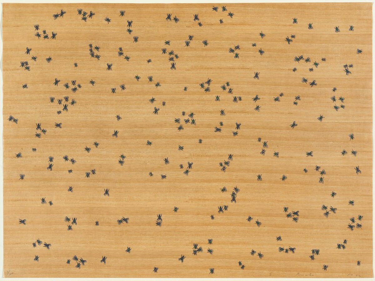 Flies by Ed Ruscha