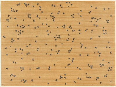 Flies