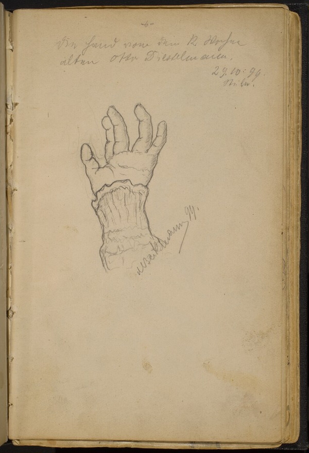 Study of a Left Hand by Max Beckmann