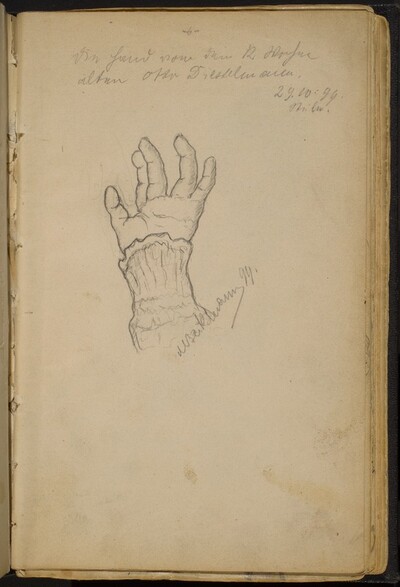 Study of a Left Hand