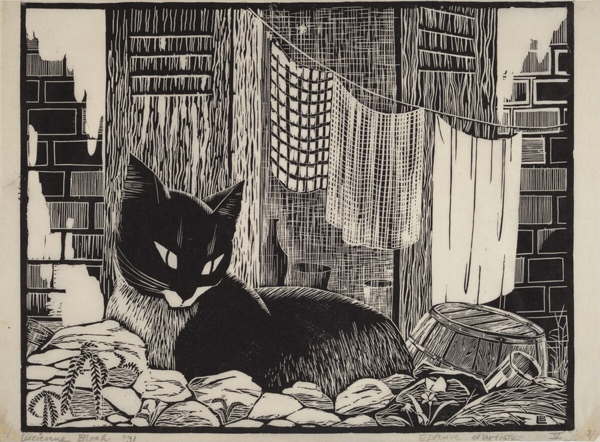 Backyard Cat (large version) by Lucienne Bloch