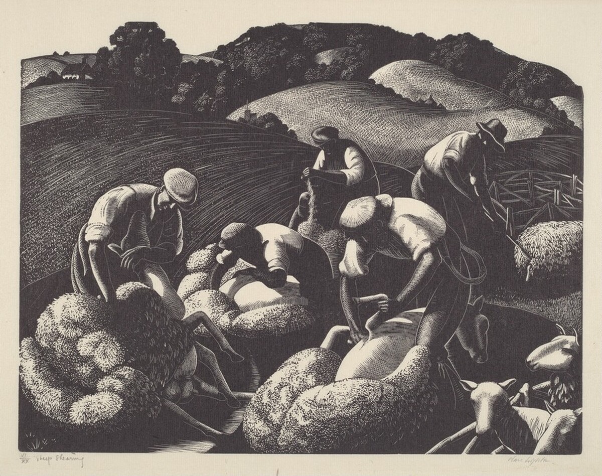 Sheep Shearing by Clare Leighton
