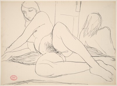 Untitled [reclining female nude reflected in a mirror]