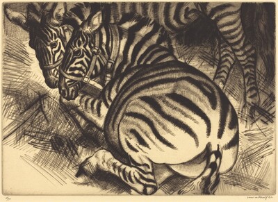 Zebras