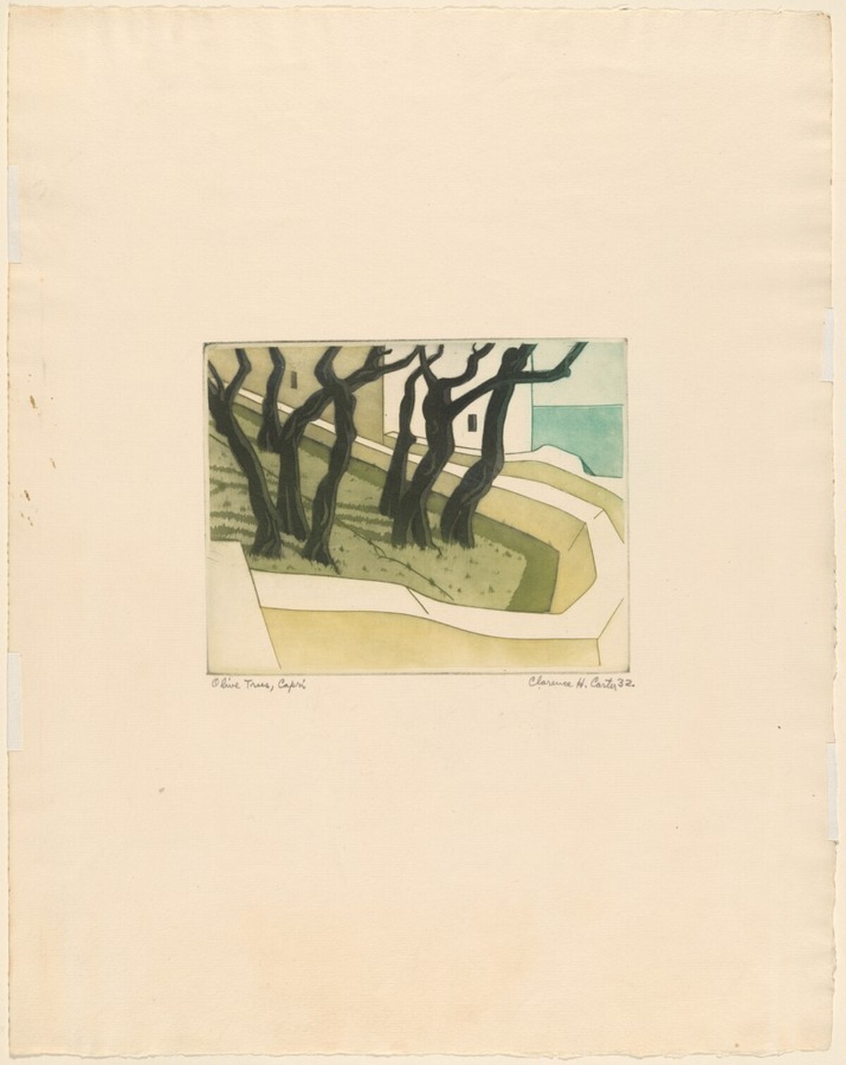 Olive Trees, Capri by Clarence H. Carter