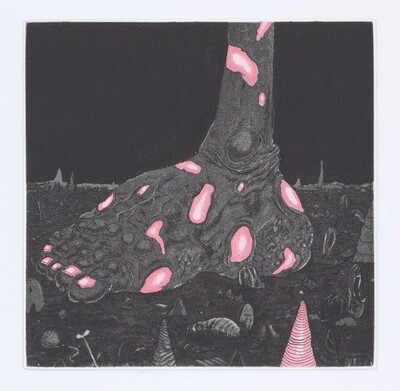 The Night Foot