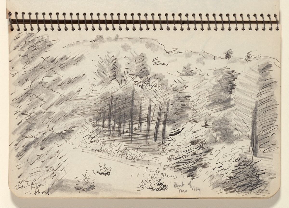 Wooded Landscape by Milton Avery