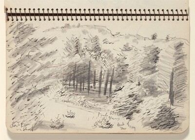 Wooded Landscape
