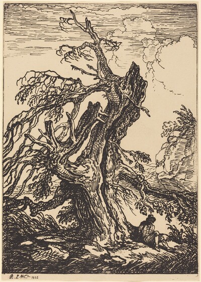 Study of a Tree