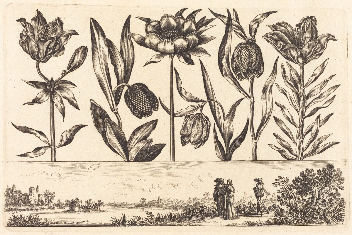 Flower Print no.11 by Nicolas Cochin after Balthasar Moncornet