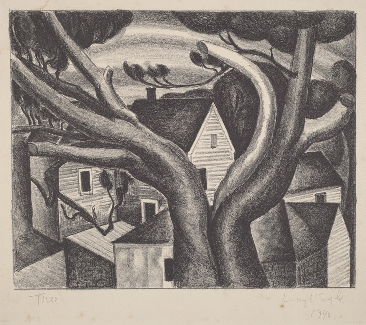 Tree by Lucy B. L'Engle
