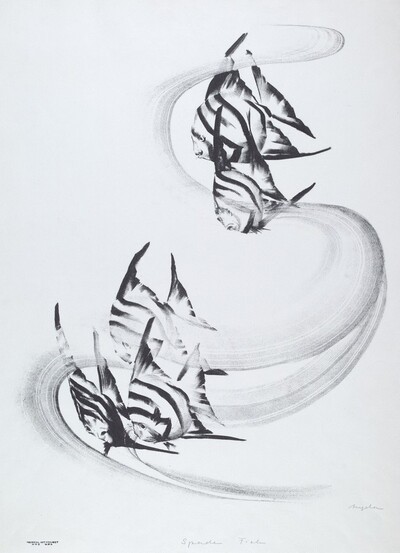 Spade Fish