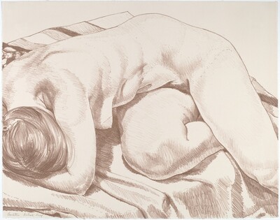 Nude Curled Up