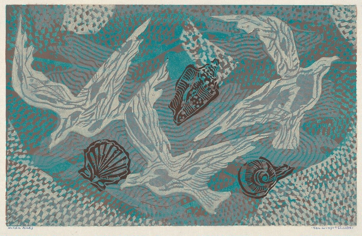 Sea Wings and Shells by Hilda Katz