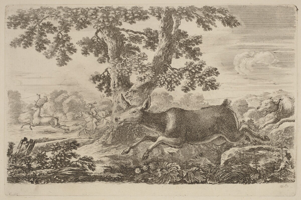 Deer Chased by a Dog to the Right by Stefano Della Bella