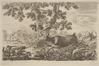 Deer Chased by a Dog to the Right