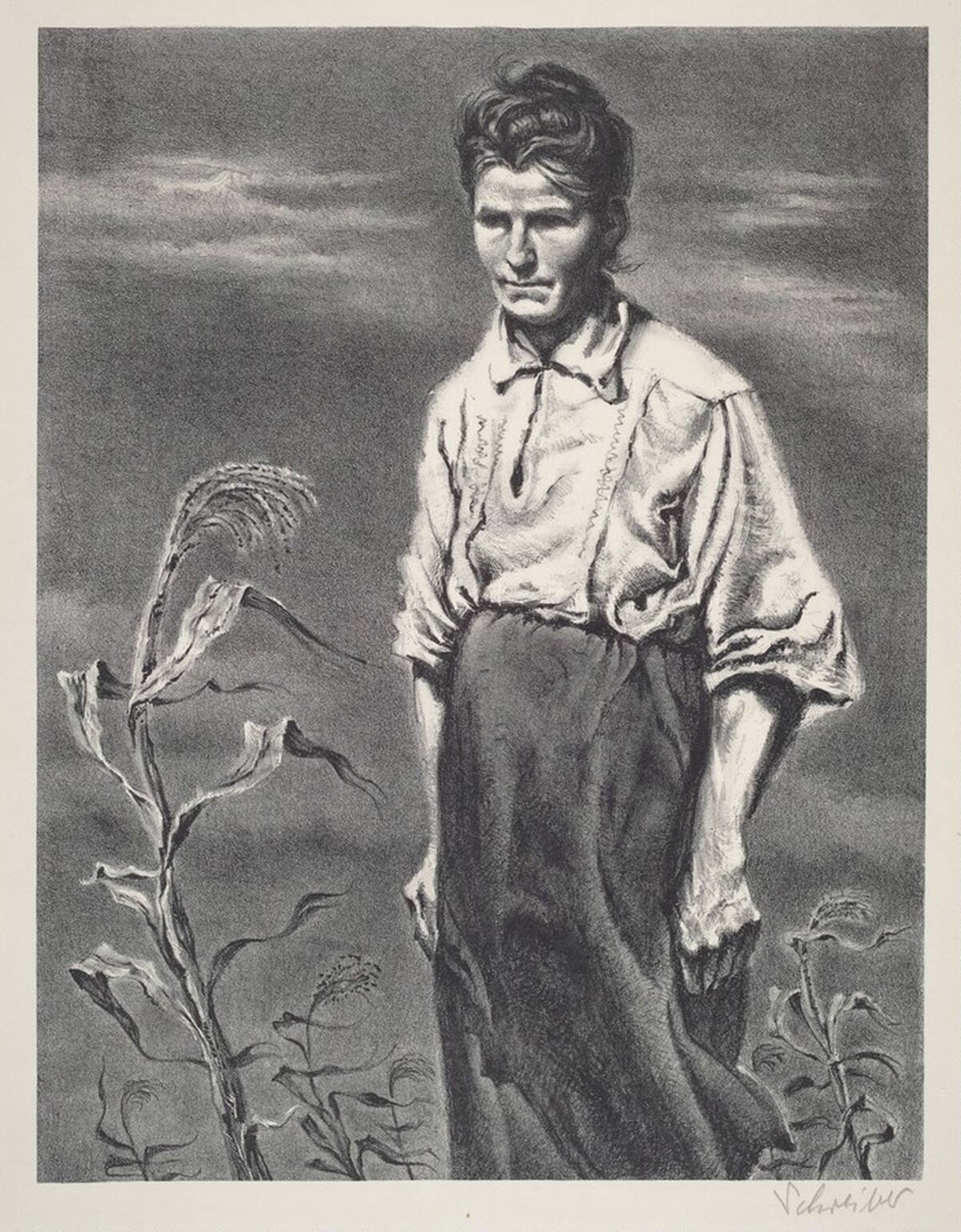 I Raise Turkeys and Chickens by Georges Schreiber