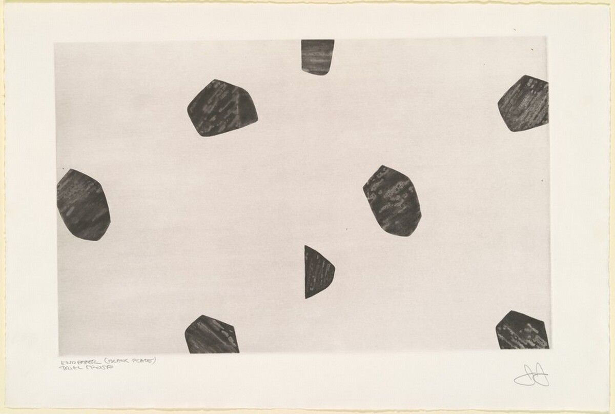 Flagstones (endpaper) [trial proof] by Jasper Johns