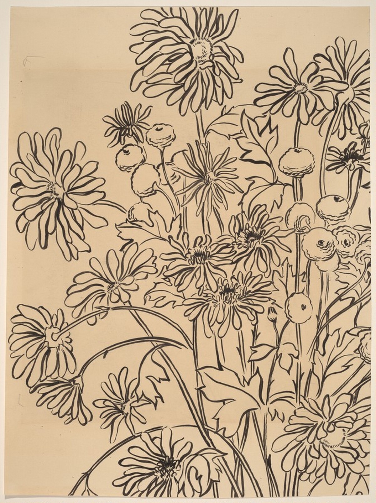 Various Flowers by Mark Rothko