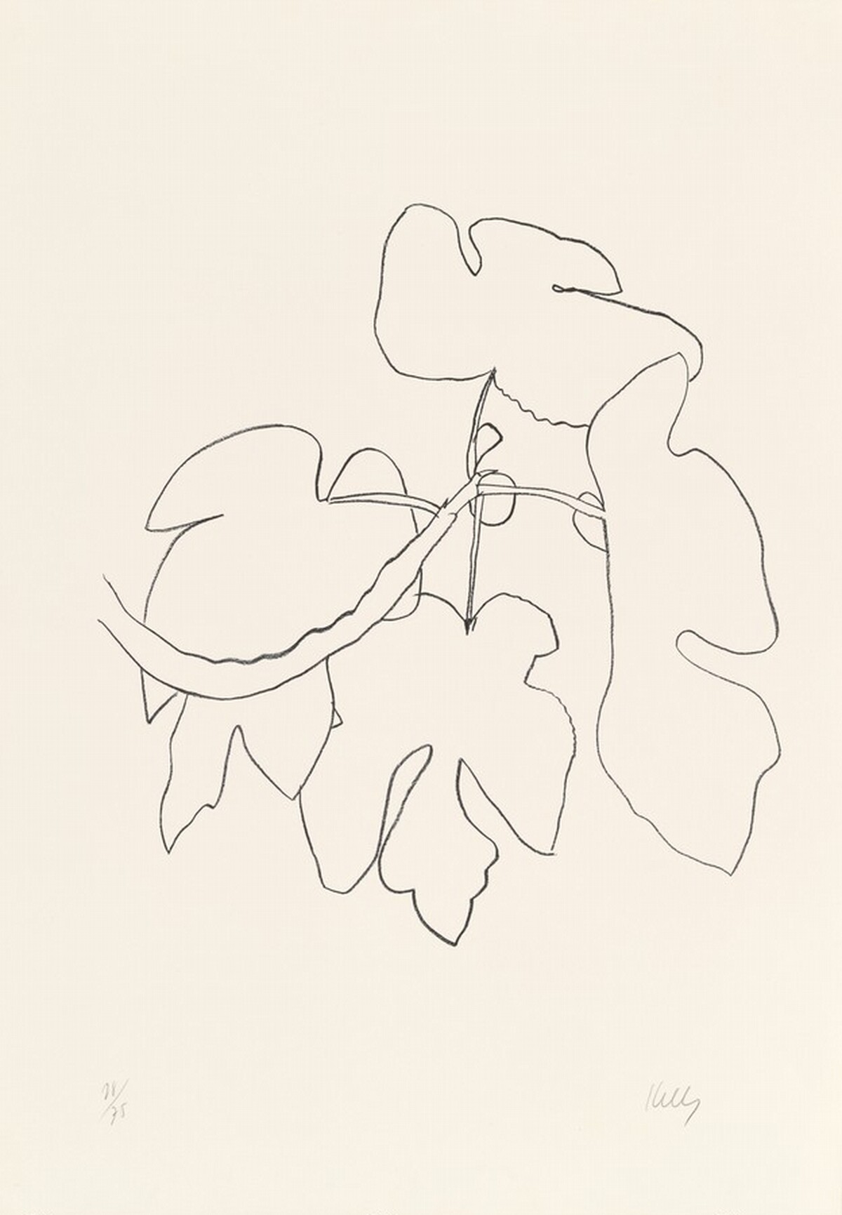 Fig Branch (Figue) by Ellsworth Kelly