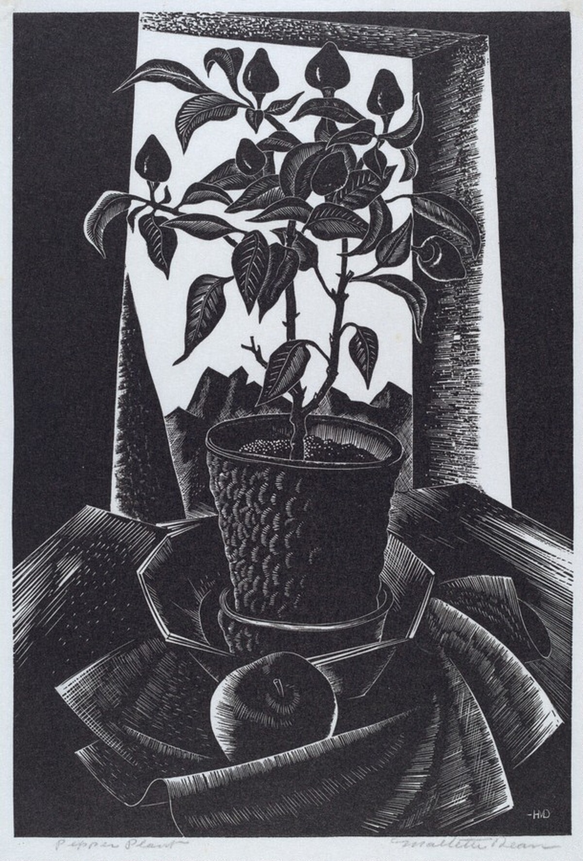 Pepper Plant by Harold Mallette Dean