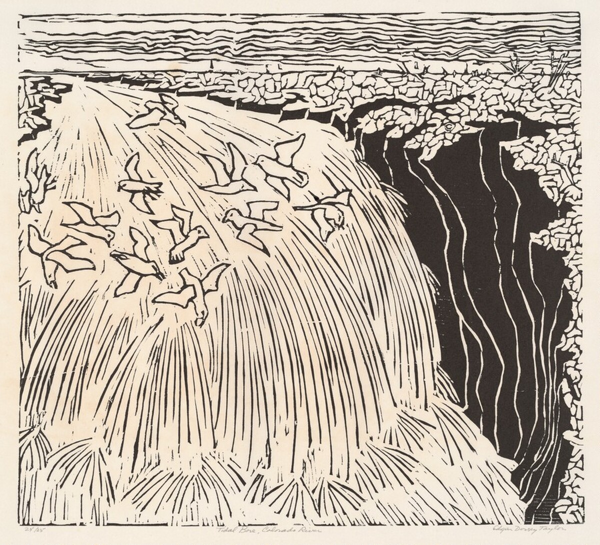 Tidal Bore, Colorado River by Edgar Dorsey Taylor