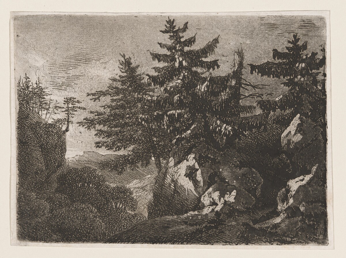 Pines on a Mountaintop at Night by Anton Kölbl