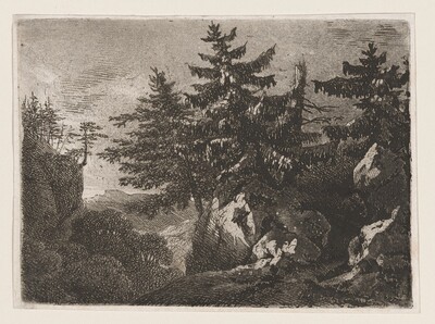 Pines on a Mountaintop at Night