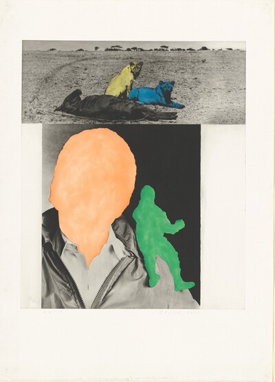 Person with Conscience (Green) / Animals Quiescent