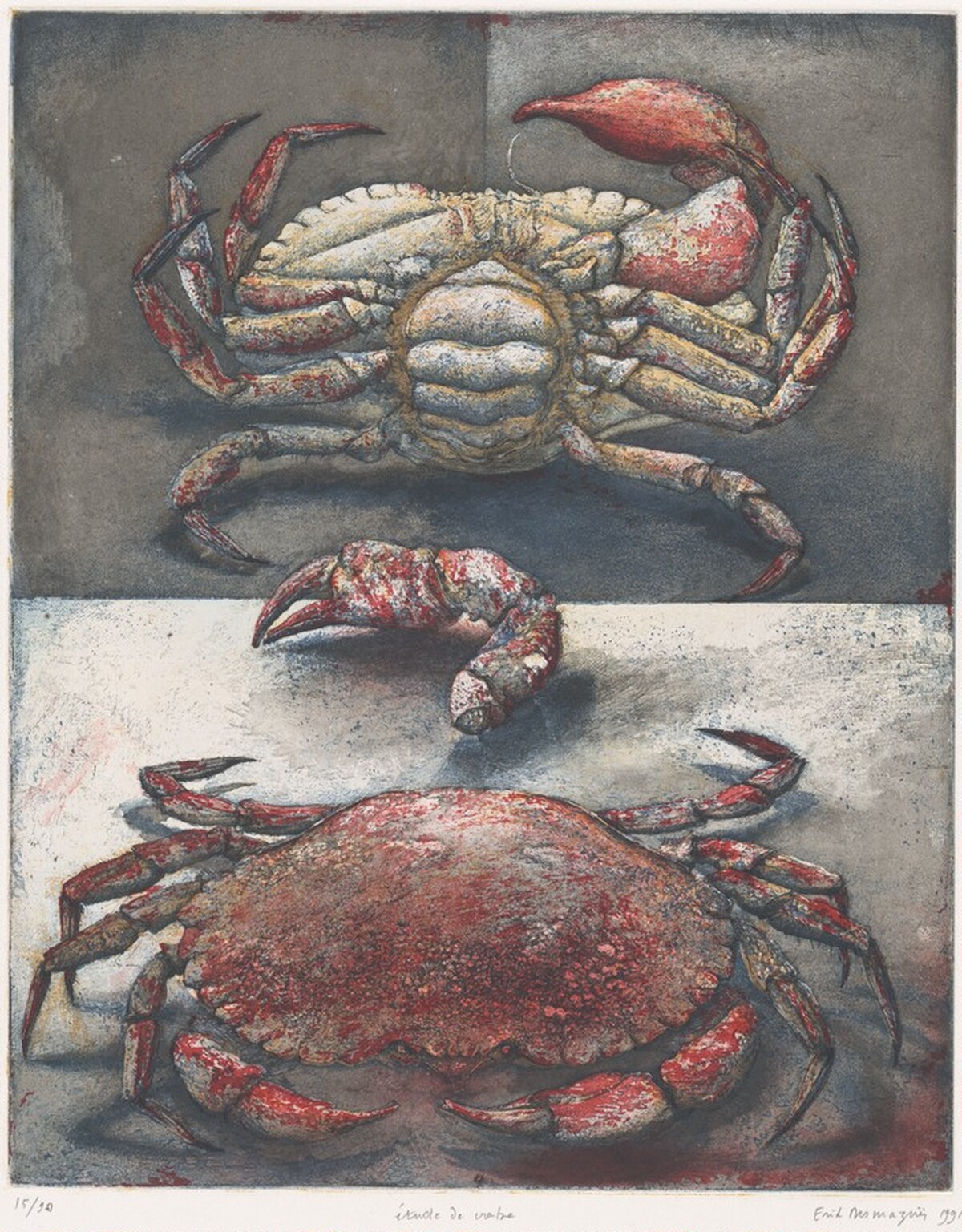 Study of a Crab (Étude de crabe) by Erik Desmazières