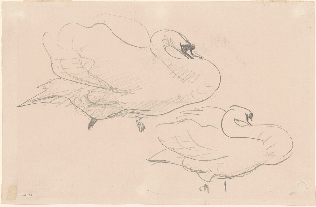 Studies of a Swan by John Singer Sargent
