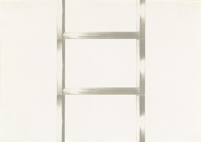 20 Foot Ladder for any Size Wall [VI]