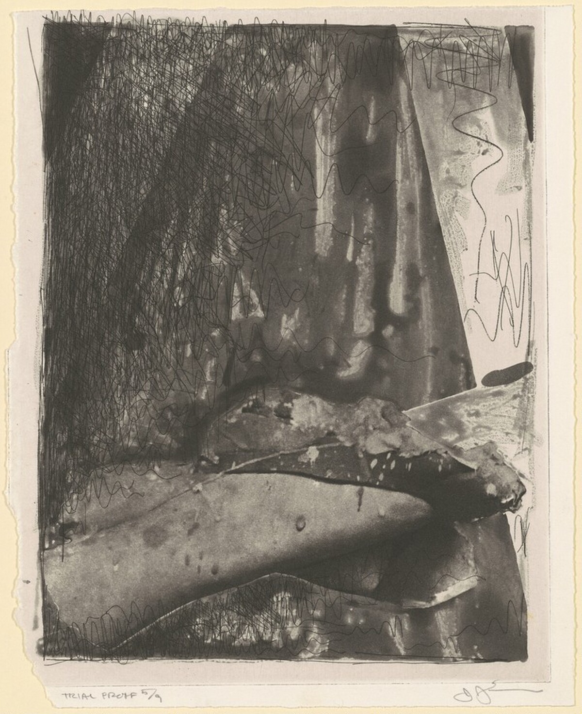 Feet (b) [trial proof 5] by Jasper Johns