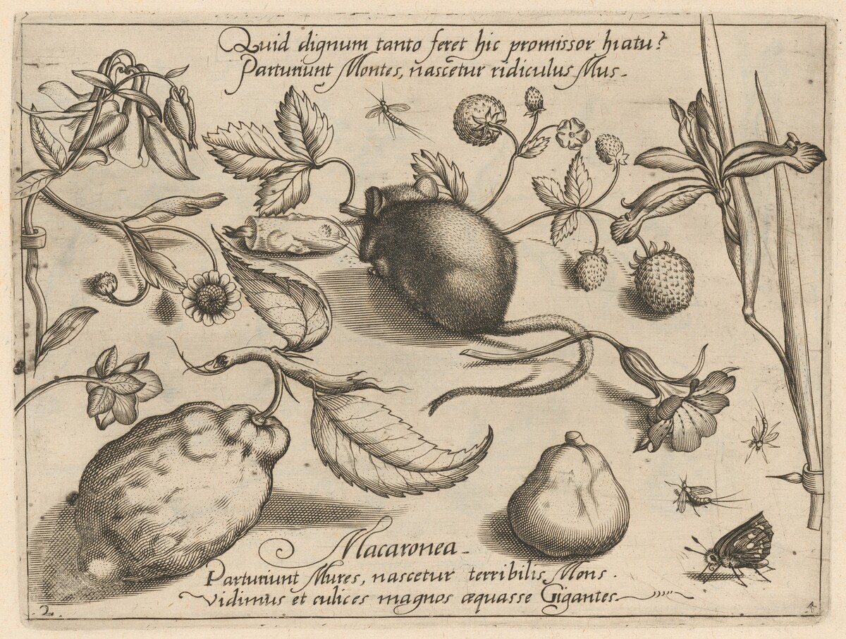 Archetypa studiaque patris Georgii Hoefnagelii [Part 4, Plate 2] by Jacob Hoefnagel after Joris Hoefnagel