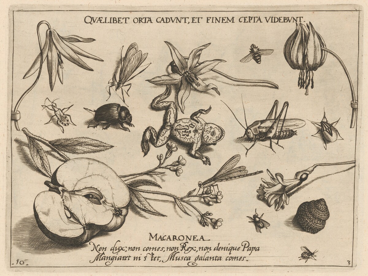 Archetypa studiaque patris Georgii Hoefnagelii [Part 3, Plate 10] by Jacob Hoefnagel after Joris Hoefnagel