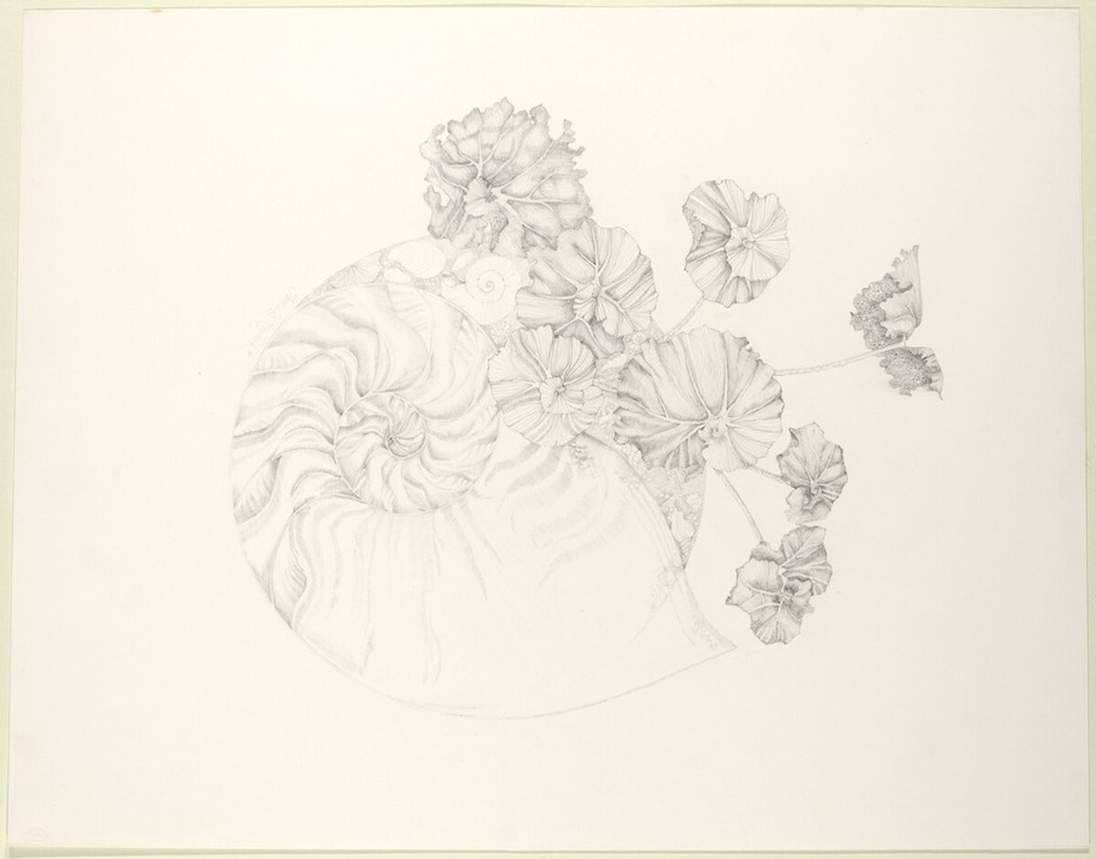 Spiral Forms by Joan L. Kopchik