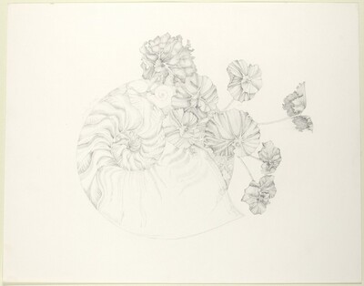 Spiral Forms