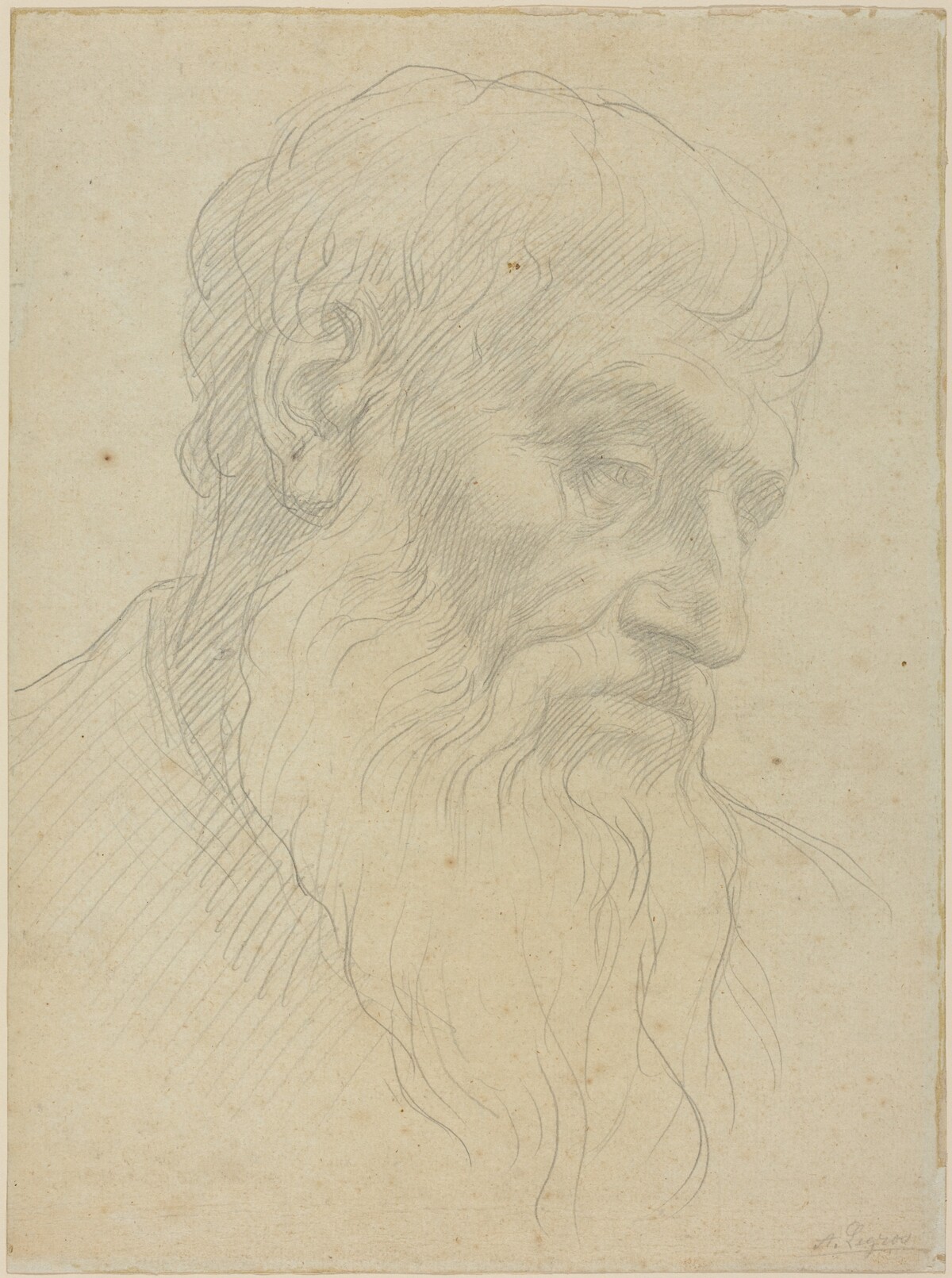 Study of a Head by Alphonse Legros