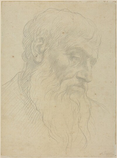 Study of a Head