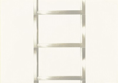20 Foot Ladder for any Size Wall [II]