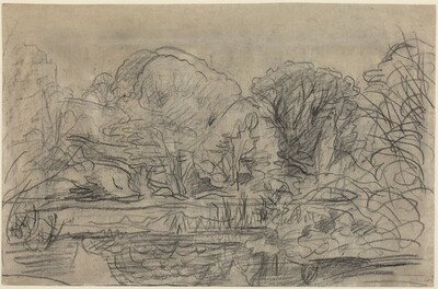 A Woodland Pond