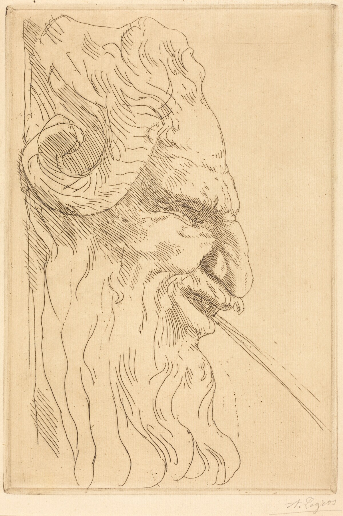 Head of a Satyr (Tete de satyre) by Alphonse Legros