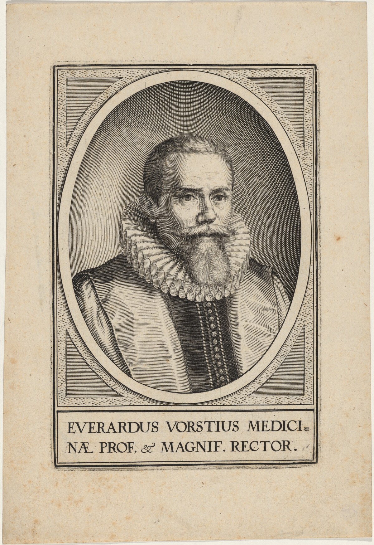 Everardus Vorstius Medicinae by Unknown Artist