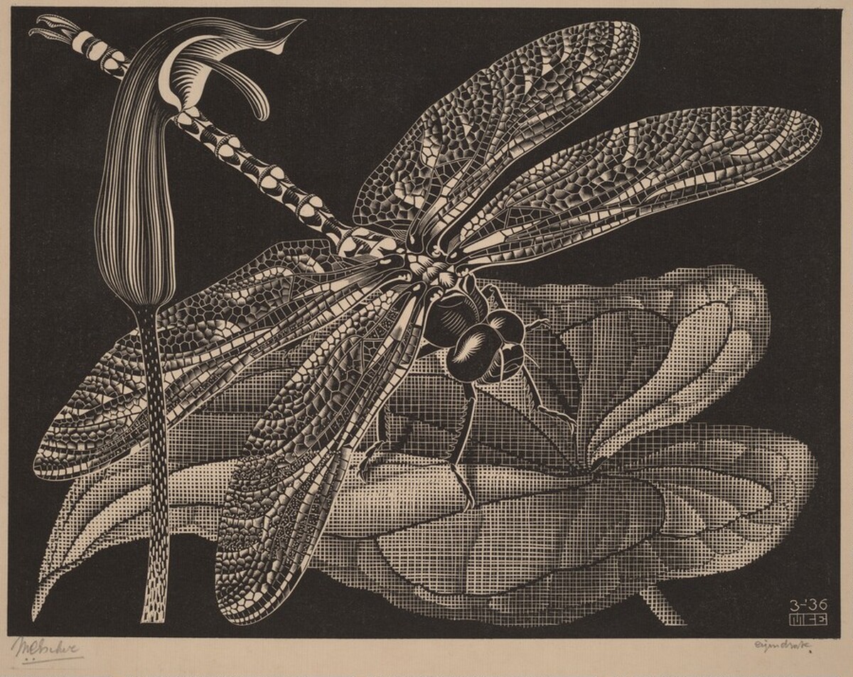 Dragonfly by M.C. Escher